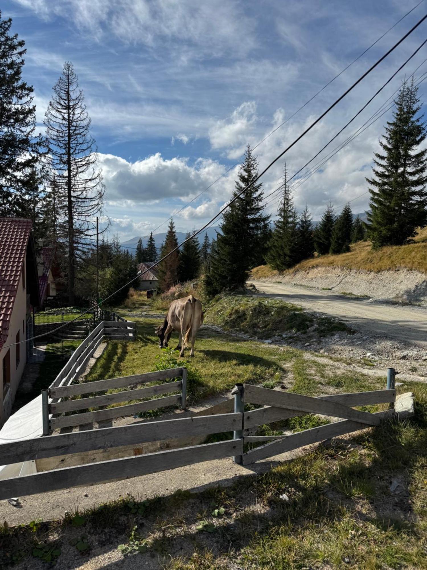Casa Hai La Ранца Екстер'єр фото